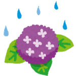 紫陽花