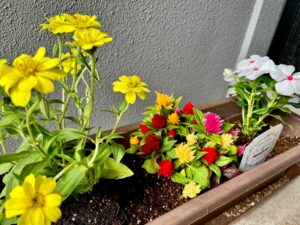 花