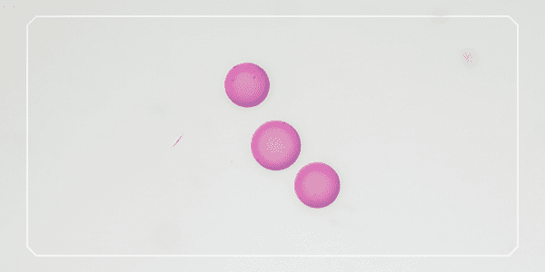 Syamcyte 卵操作練習用擬似卵の赤色