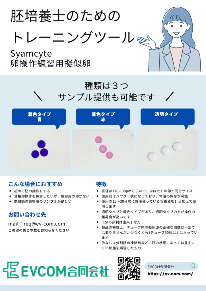 Syamcyteのチラシ
